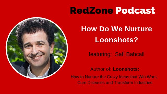How Do We Nurture Loonshots? with Safi Bahcall
